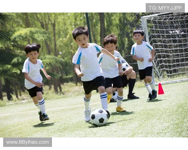 探索大发体育app:全方位提升你的体育体验与乐趣